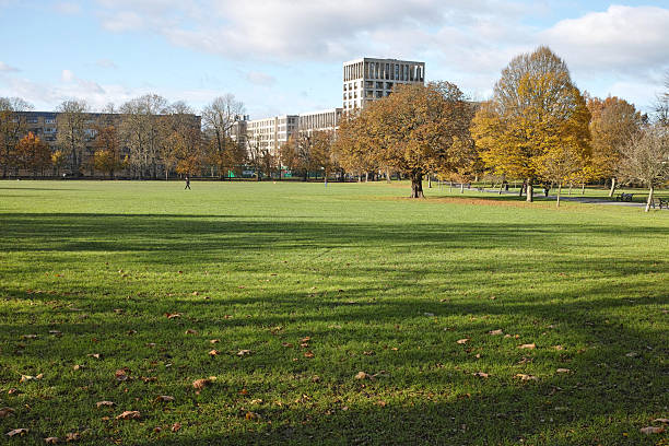 Photo of a mown meadow in Hyde Park, London, taken during the day