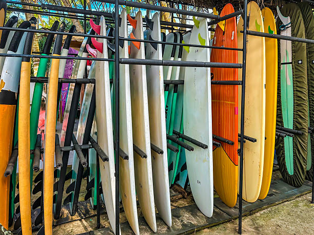 istock Surfboards in a row at Weligama beach, Sri Lanka 2226527450
