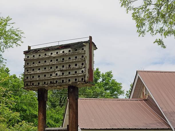 Bird swallow condo complex in rural Arkansas. Multi family bird house on pole and roofline in Jasper Arkansas.