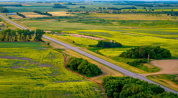 istock Beautiful yellow Canola Fields in North Dacota at sunset 2226536799
