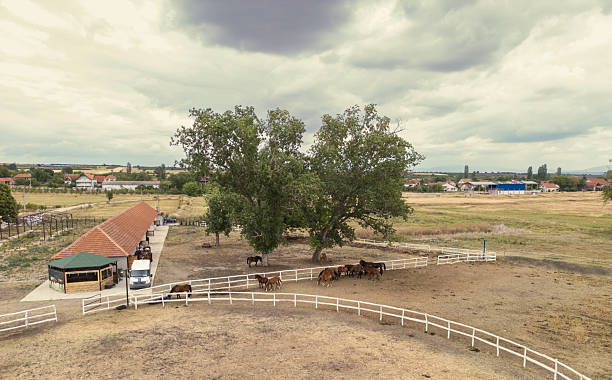 Exterior of horse ranch. Located in Southern Serbia. Drone point of view.