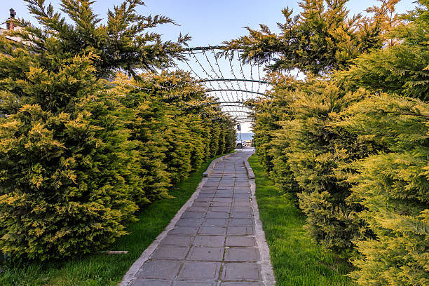 Scenic pathway through lush green trees under metal arbor on sunny day.