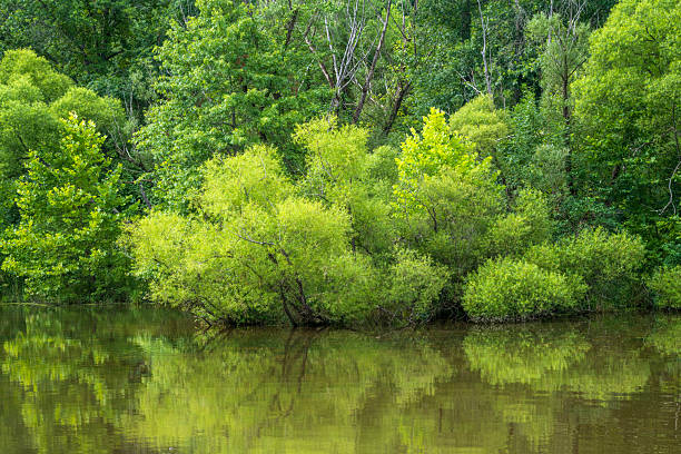 Scenic Lake Galena at Peace Valley park, Doylestown, Pennsylvania, USA