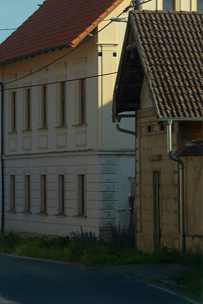 There is a quaint house featuring a tiled roof positioned adjacent to another charming house, creating a visually appealing scene in the residential area