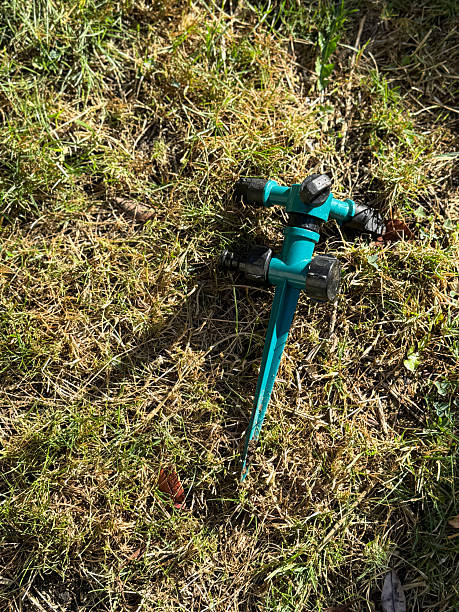 Stock photo showing close-up, elevated view of arid, patchy grass lawn in need of watering. During extended periods of hot, dry weather many authorities place hosepipe bans on residents to stop them using scarce water resources. Therefore, gardeners need to use watering cans rather than gardening hoses or sprinkler heads to water their plants and lawns.