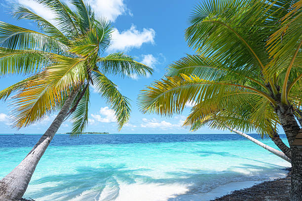 istock Tropical paradise beach in Maldives 2226551583