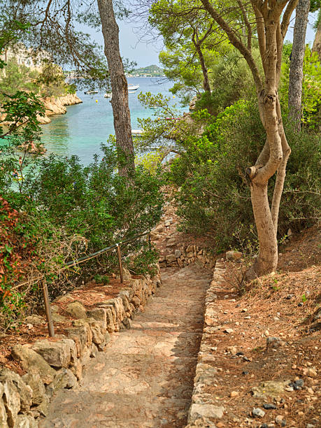 Winding stone steps bordered by rustic stone walls lead through lush Mediterranean greenery, descending to a serene coastal view with turquoise waters. Located in Mallorca, this landscape is tranquil and scenic.