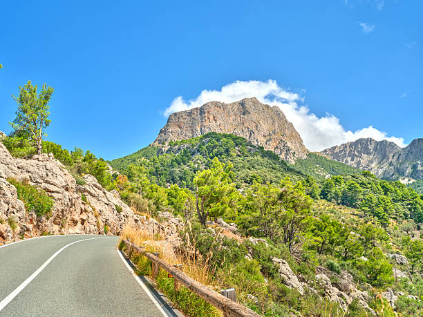 Beautiful mountain road in Mallorca, lined with lush Mediterranean forests and set against a backdrop of rugged peaks and a clear blue sky. A serene and picturesque natural landscape for exploration.