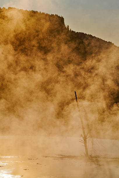 Mammoth Hot Springs feature in Yellowstone National Park