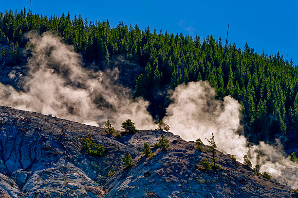 Mammoth Hot Springs feature in Yellowstone National Park