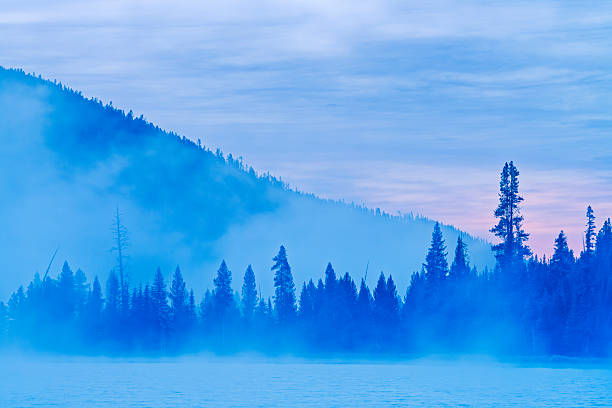 Twin Lakes forest and meadows along the Grand Loop road in Yellowstone National Park