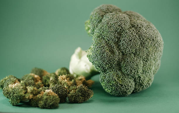 green broccoli on green background