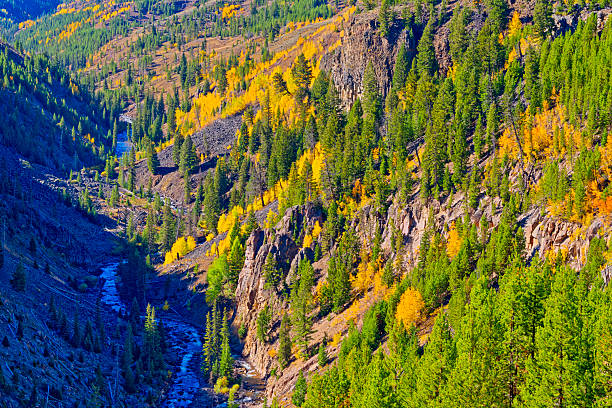 Gardner River and Canyon along the Grand Loop road in Yellowstone National Park