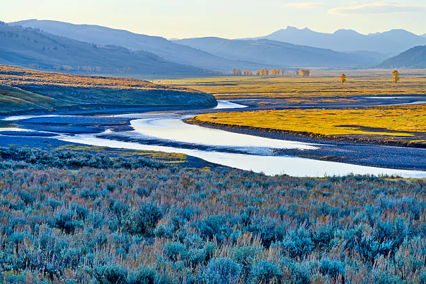 istock Yellowstone National Park in Wyoming 2226557827