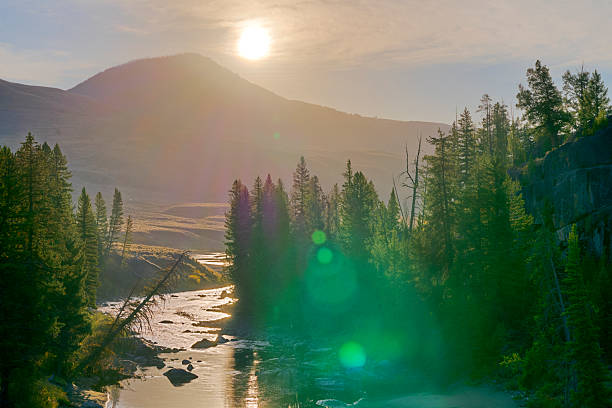 Lamar Valley and the Yellowstone River in Yellowstone National Park
