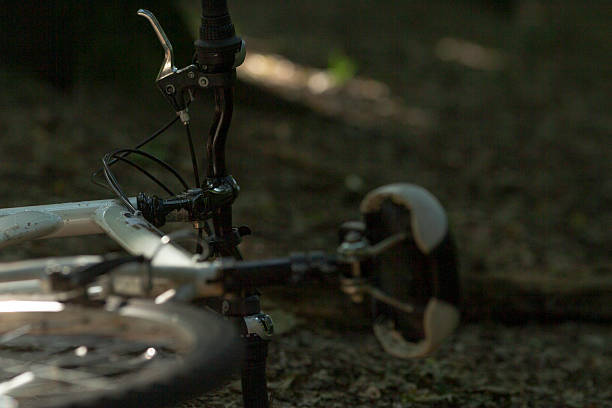 istock A bicycle is currently laying on the ground within the woods 2226569580
