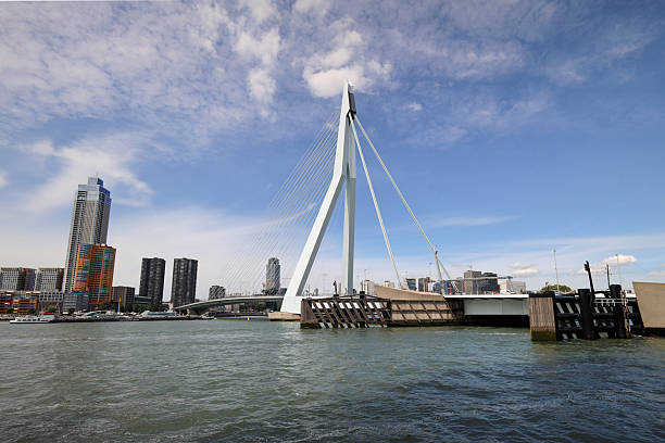 Erasmusbrug bridge with nickname The Swan between north and south Rotterdam over Nieuwe Maas river