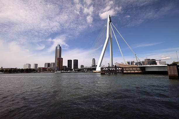 Erasmusbrug bridge with nickname The Swan between north and south Rotterdam over Nieuwe Maas river