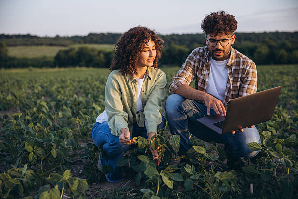istock Agronomists analyzing soybean plants with laptop in cultivated field 2226586135