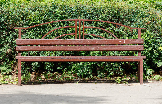 A brown bench is sitting in front of a bush. The bench is empty and has a weathered look. The bush is green and has a lot of leaves. The scene is peaceful and quiet