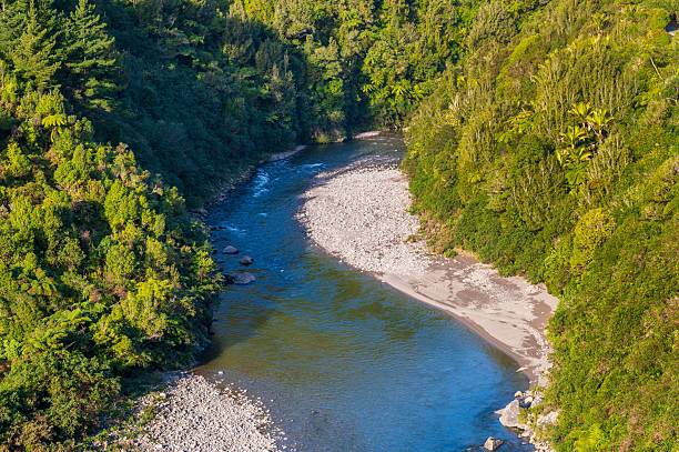 Serene river meandering through lush forest.
