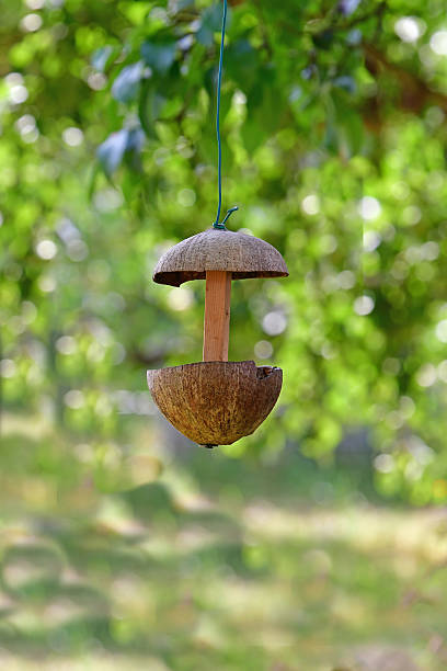 istock bird feeder house made of half coconut shells 2226593028
