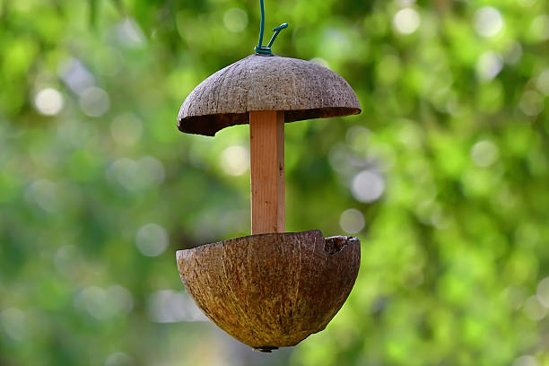 istock bird feeder house made of half coconut shells 2226593060