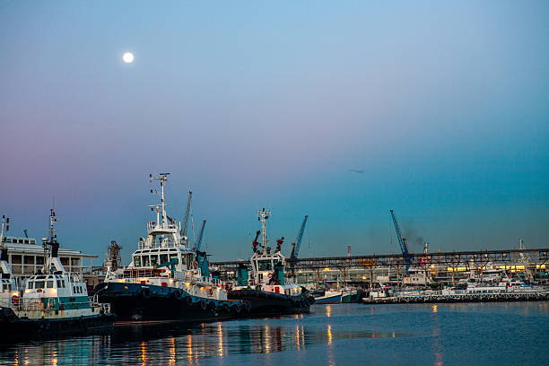 A serene twilight view of tugboats docked at Cape Town Harbour under a full moon. The soft gradient sky transitions from deep blue to soft violet, while industrial cranes silhouette the horizon, capturing the calm yet industrious essence of the port.