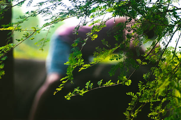 Looking up at defocused natural frame of treetops.