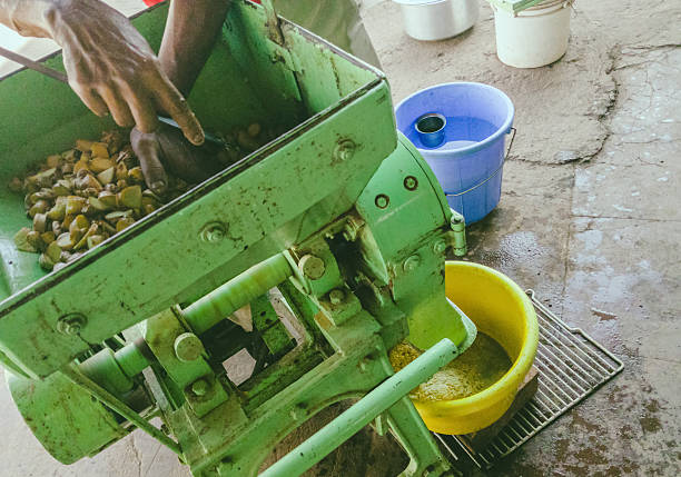 istock Hands process ingredients in a rustic green machine outdoors in Bengaluru, India.  The composition emphasizes the process. 2226598059