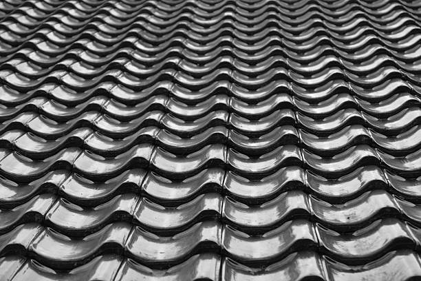 istock Roof Tiles in monochrome 2226600746