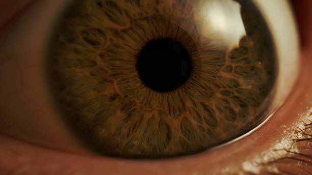 istock Macro shot of human brown eye with visible iris texture 2226605348