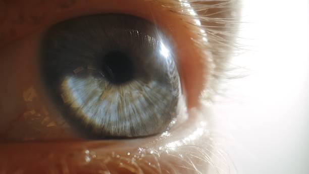 istock Macro shot of blue human eye with bright reflection and eyelashes 2226605917