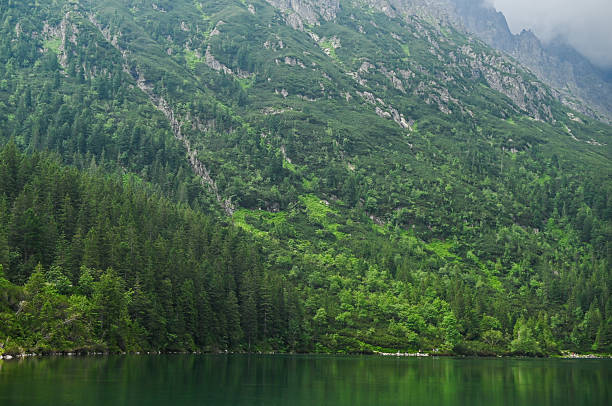 hillsides above quiet lake. calm mountain lake reflects mountain landscape like mirror, mountains are covered with dense forest vegetation. park of prestige nature, an ecologically clean environment