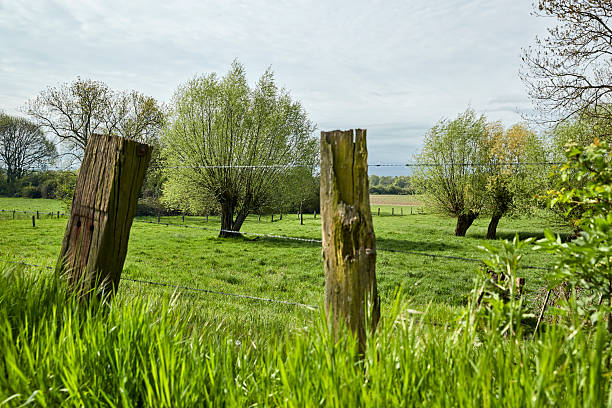 istock Rheinaue Duisburg Walsum 2226608590