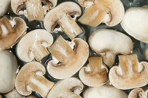 A cluster of Buna Shimeji mushrooms on a black background