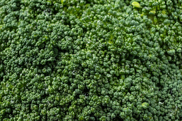 istock Natural Texture of Fresh Raw Broccoli in Macro 2226609935