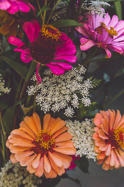 Flowers in the garden