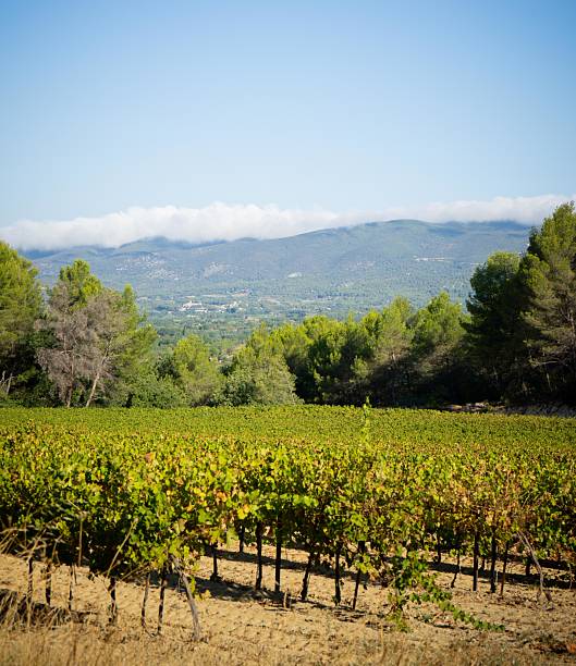 istock Landscape of Provence 2226611000