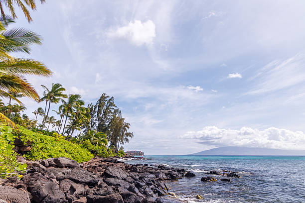istock Beautiful Maui landscape in Hawaii 2226618044