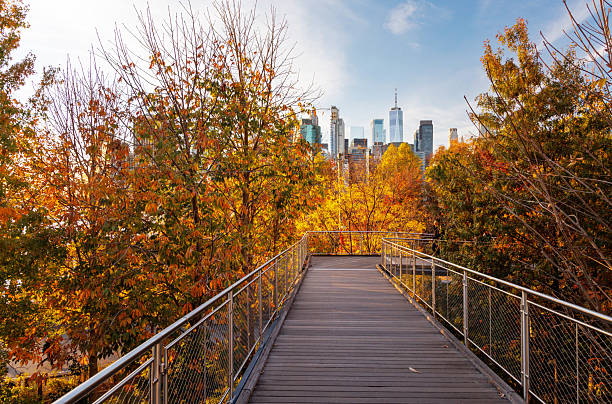 istock The New York Manhattan skyline during autumn 2226618418