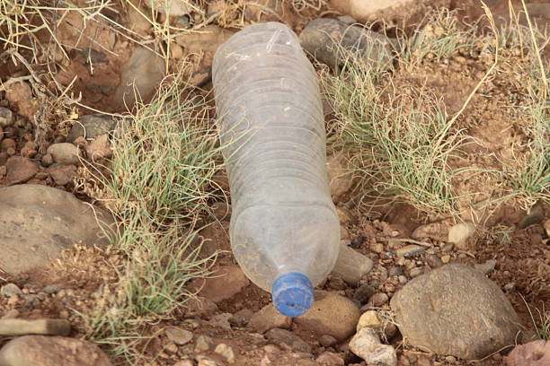 A close-up of a plastic bottle lying on the ground