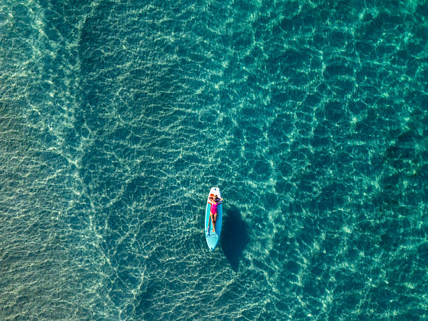 istock Paddleboarder Near Shoreline Seen from Above 2226631637