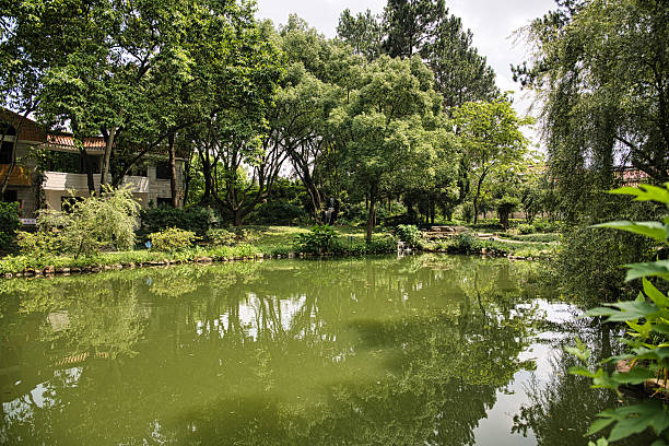 A Serene Lakeside Scenery with Lush Greenery and Reflections on the Water
