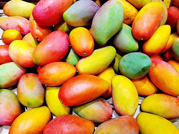 istock Hainan Guifei Mango 2226639215