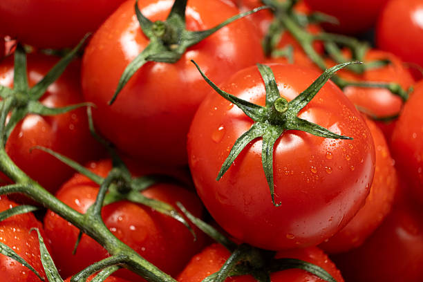istock Cocktail Tomatoes on the Vine After Rinsing 2226644954