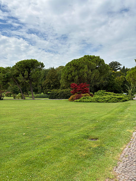 istock Lush green park with vibrant red bush 2226646365