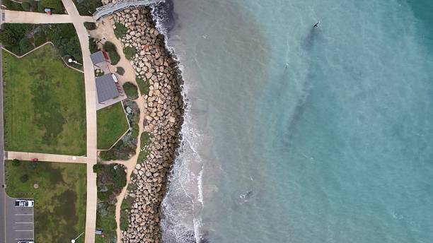 istock The Omeo Wreck and Coogee Beach 2226651119