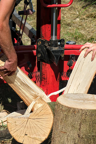 istock Log splitter in action splitting a thick log, with two people operating the machine outdoors on a sunny day. 2226653265