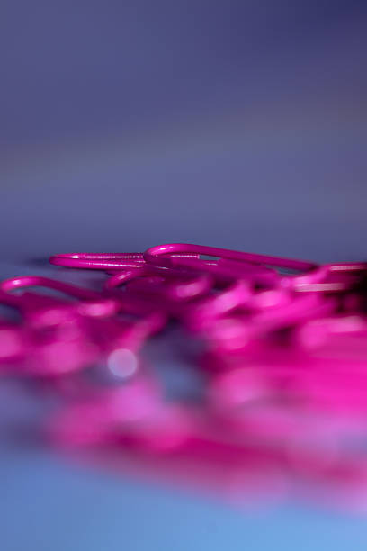 Pink paperclips scattered on a blue surface. The paperclips are metal and elongated with a smooth, shiny finish. Their vibrant color contrasts with the muted blue background, creating a lively visual. Suitable for use in organizing documents, they are common in school and office settings for binding papers together. The arrangement is casual, suggesting a ready-to-use state.